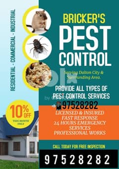 Pest Control service bedbugs insects killer by sprayer all over Muscat