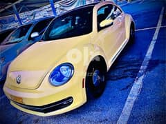 Beetle for sale