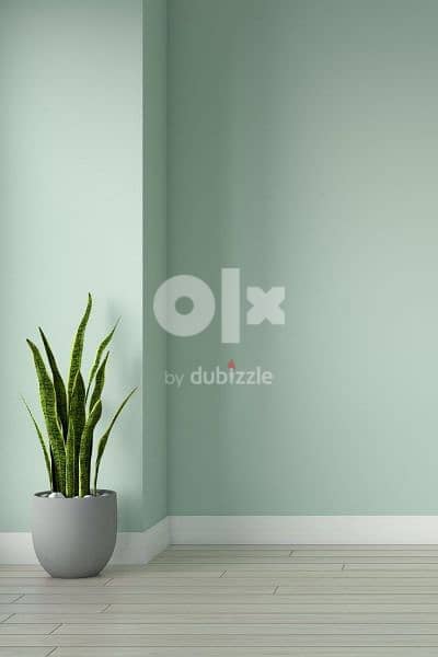 Building, House painting, apartment, villas painting work we do. s12