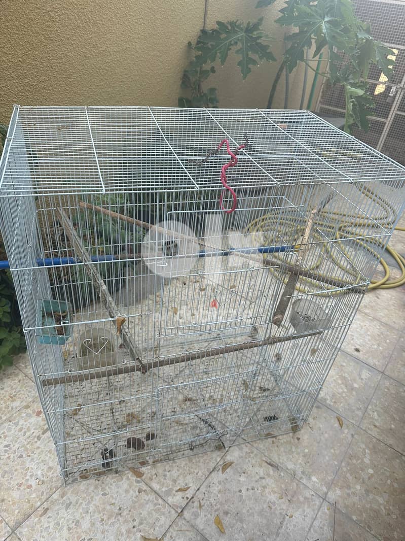 BIG CAGE AVAILABLE FOR BIRDS 1