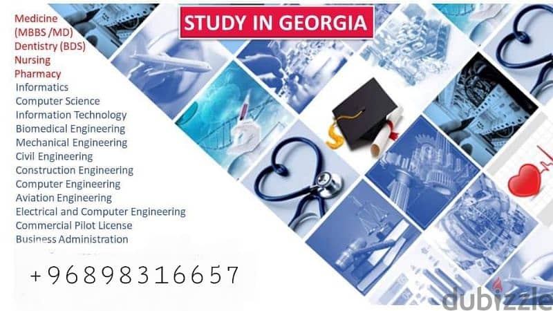 consultant for studying in Georgia 0