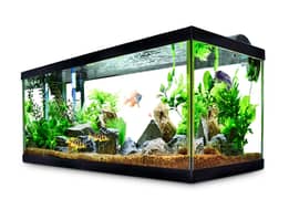 we will make fish tank for beauty of your home 0