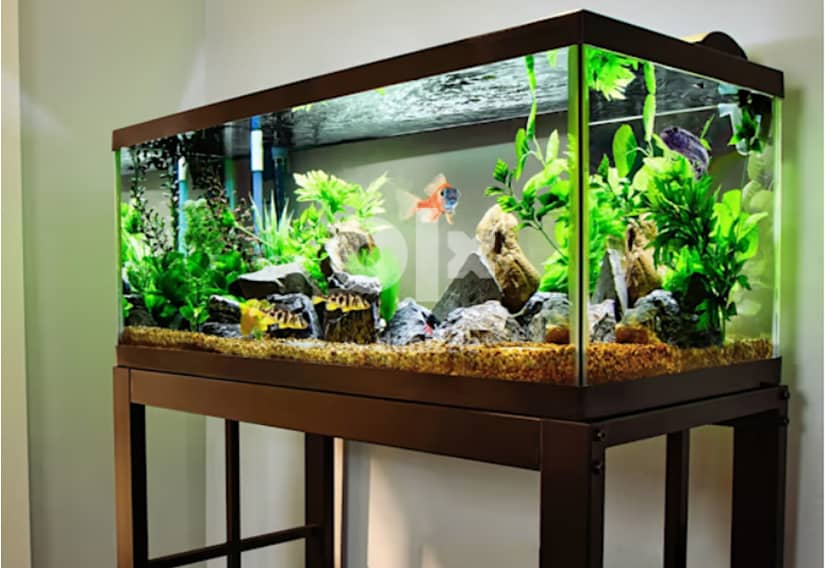 we will make fish tank for beauty of your home 1