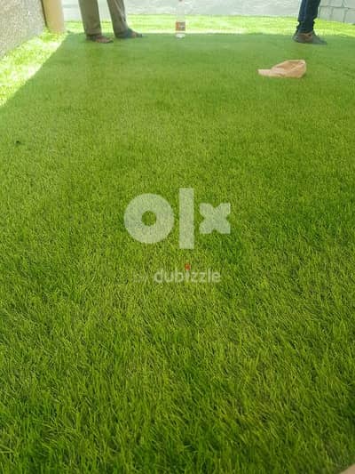 Artificial Grass