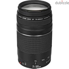 Canon Camera Lens EF 75-300mm (NewStock!)