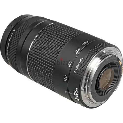 Canon Camera Lens EF 75-300mm (NewStock!) 2