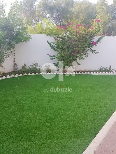 Artificial Grass