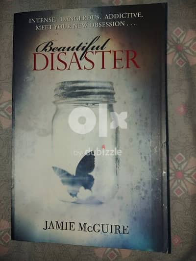 Beautiful Disaster