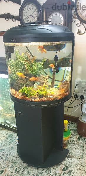6  fish Tank different size 2