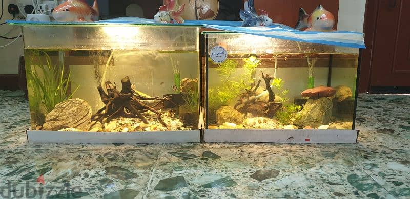 fish Tank different size 3