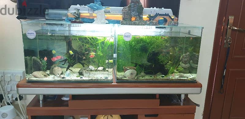 6  fish Tank different size 4