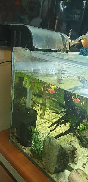 6  fish Tank different size 7