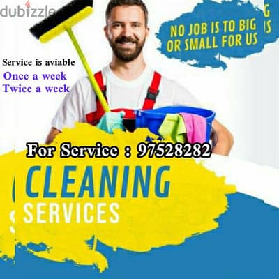 House Cleaning and Maintance/ Pest Services / rubbish disposal