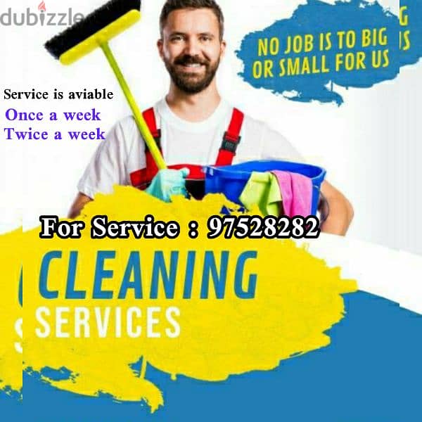 House Cleaning and Maintance/ Pest Services / rubbish disposal 0