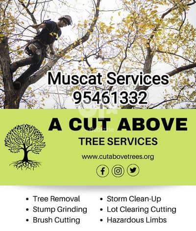 Garden Cleaning Maintance/Plants&tree cutting/ Soil & Grass available