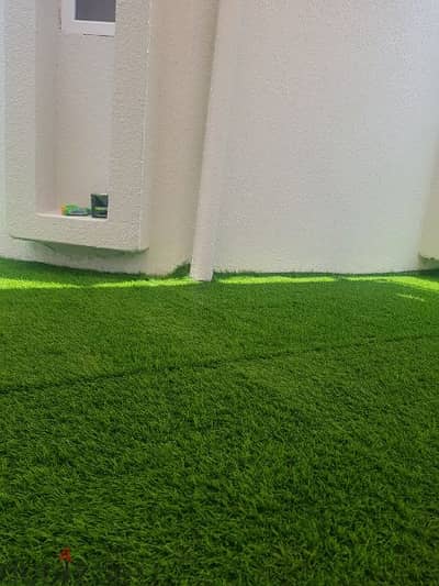 Artificial Grass