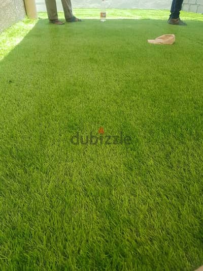 Garden Grass