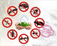 we provide you the best pest control service's 94491391
