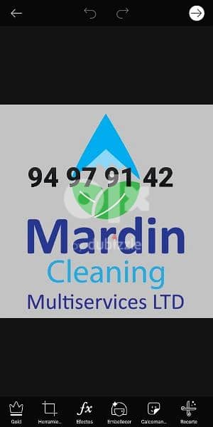 Professional house cleaning service 0