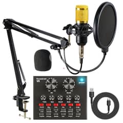 BM800 Professional Condenser Microphone {BIG EID OFFER}