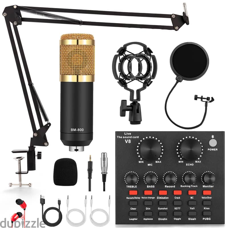 BM800 Professional Condenser Microphone 1