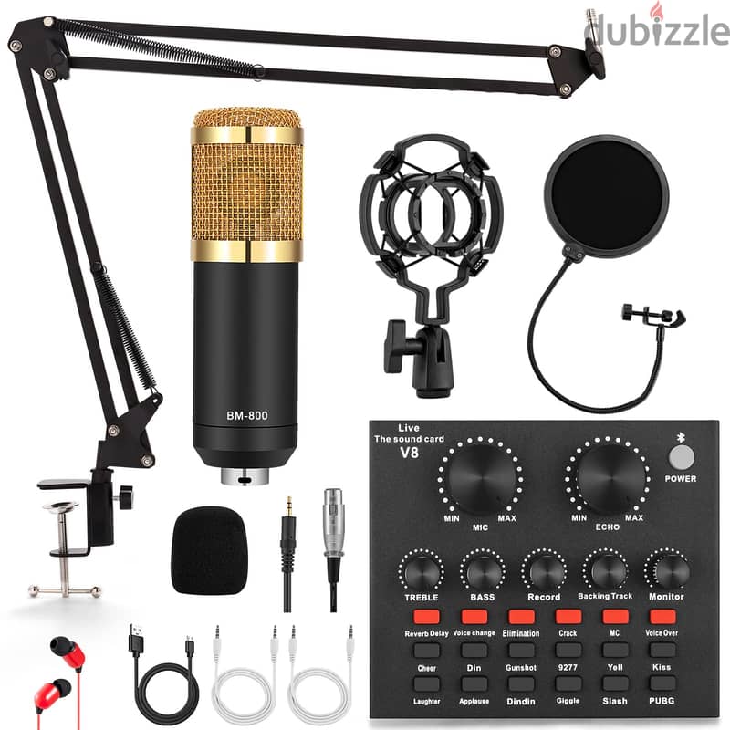 BM800 Condenser Microphone 1