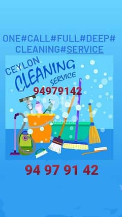 home & apartment deep cleaning service