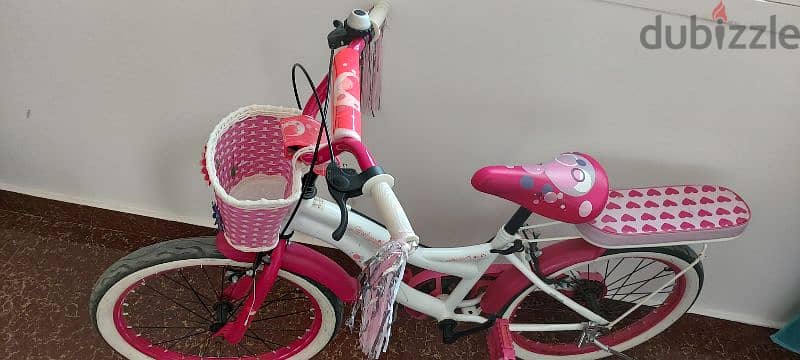 20 inch girls bicycle 1