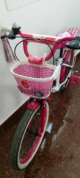 20 inch girls bicycle 3