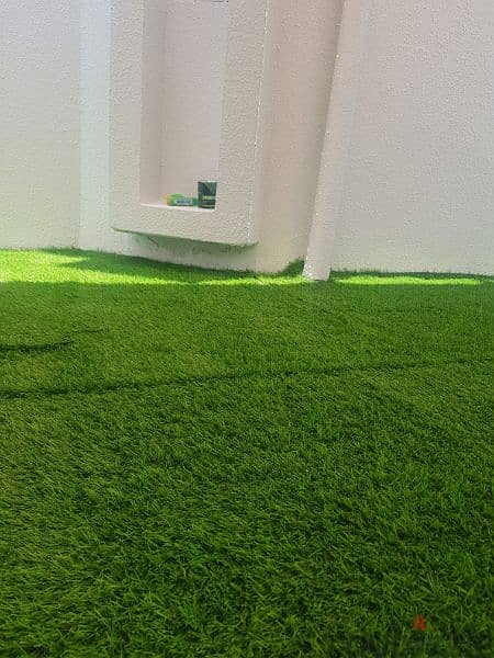Artificial Grass 2