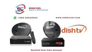 Dish