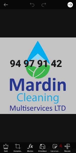 Professional villa & apartment deep cleaning service 0