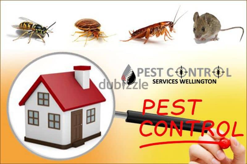 Guaranteed pest control services house cleaning 0