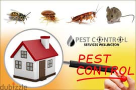 Quality pest control services house cleaning