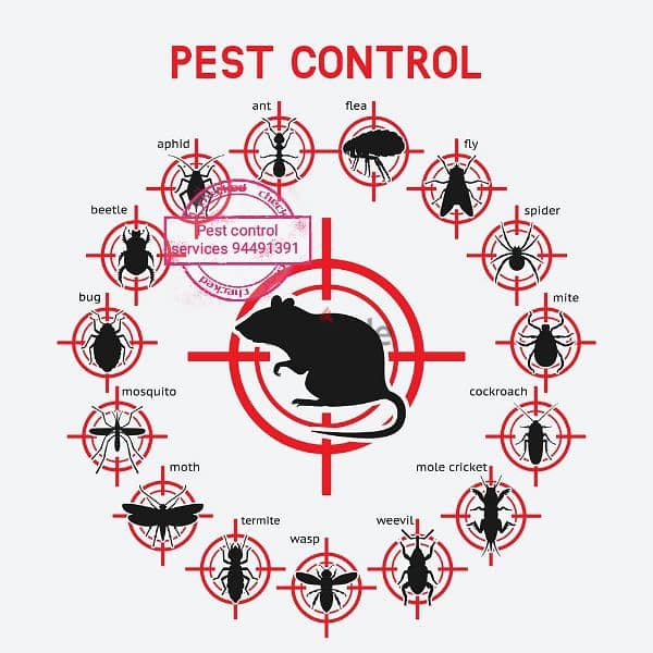 we have professional pest control service's 0
