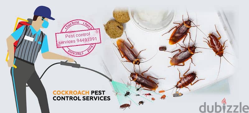 we have professional pest control service's 3