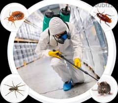 Guaranteed pest control services house cleaning