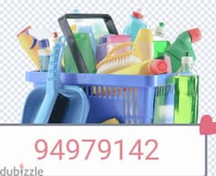 villa & apartment deep cleaning service