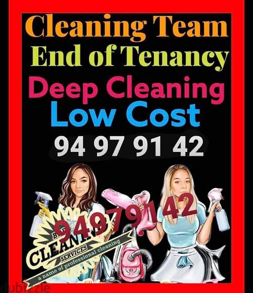 Professional home deep cleaning service 0