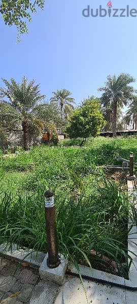 للايجار استراحة السندية بولاية السيب Sendya Farm for rent in Al Seeb 4
