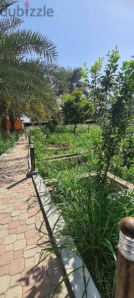 للايجار استراحة السندية بولاية السيب Sendya Farm for rent in Al Seeb 5