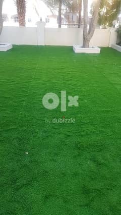 Artificial Grass 0