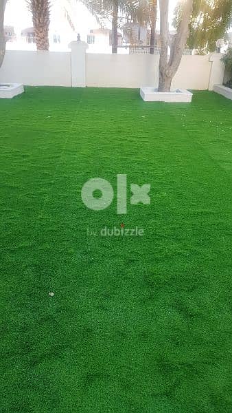 Artificial Grass