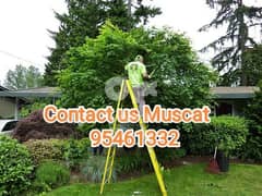 Garden maintance Plants cutting shaping, Rubbish disposal service