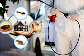 General pest control services and house cleaning and 0