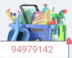 Professional villa & apartment deep cleaning services 0