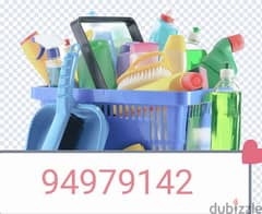 Professional house deep cleaning services 0