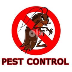 Quality pest control services house cleaning