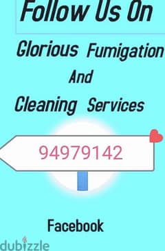 home & apartment deep cleaning service