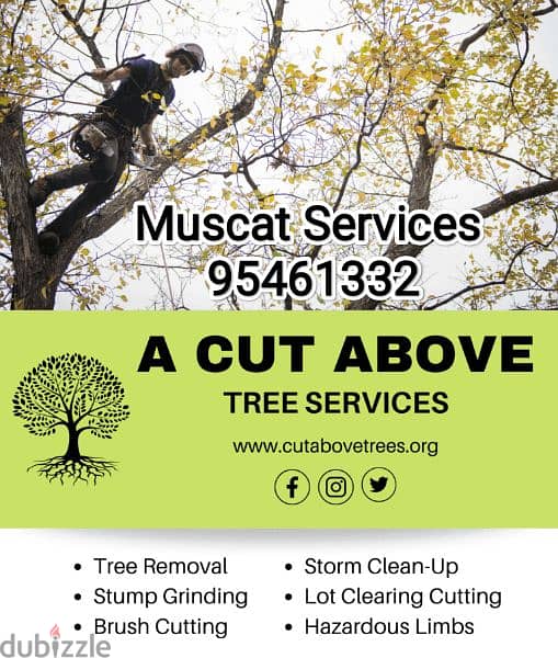 Plants&Tree Cutting,Garden cleaning&maintaince, artificial grass 0